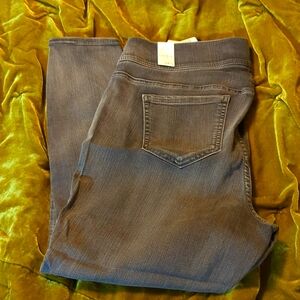 NWT great lean jeans
